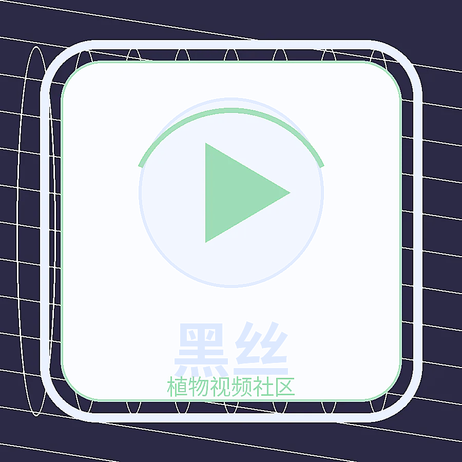 黑丝